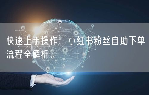 快速上手操作：小红书粉丝自助下单流程全解析。