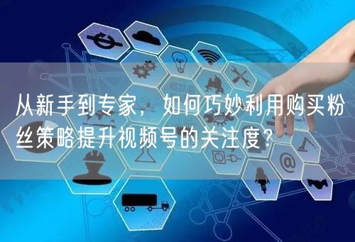 从新手到专家，如何巧妙利用购买粉丝策略提升视频号的关注度？