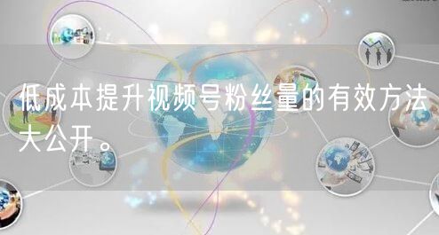 低成本提升视频号粉丝量的有效方法大公开。
