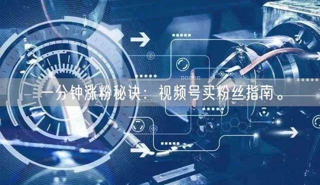 一分钟涨粉秘诀：视频号买粉丝指南。