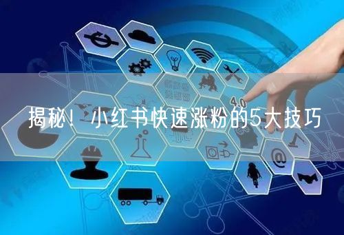 揭秘！小红书快速涨粉的5大技巧