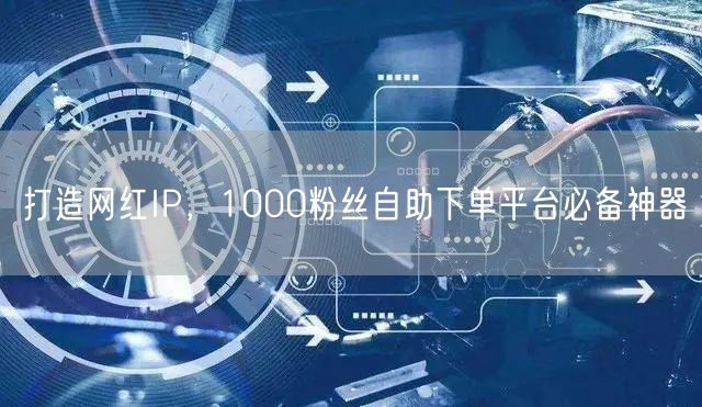 打造网红IP，1000粉丝自助下单平台必备神器