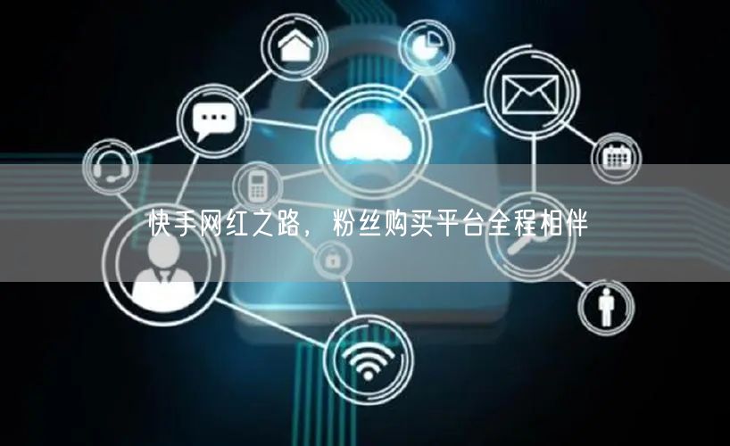 快手网红之路，粉丝购买平台全程相伴