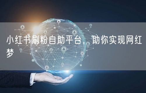 小红书刷粉自助平台，助你实现网红梦
