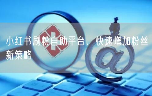 小红书刷粉自助平台，快速增加粉丝新策略