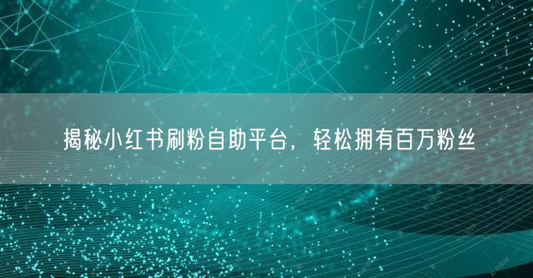 揭秘小红书刷粉自助平台，轻松拥有百万粉丝
