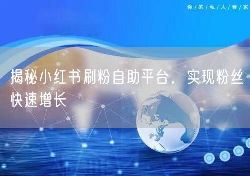 揭秘小红书刷粉自助平台，实现粉丝快速增长
