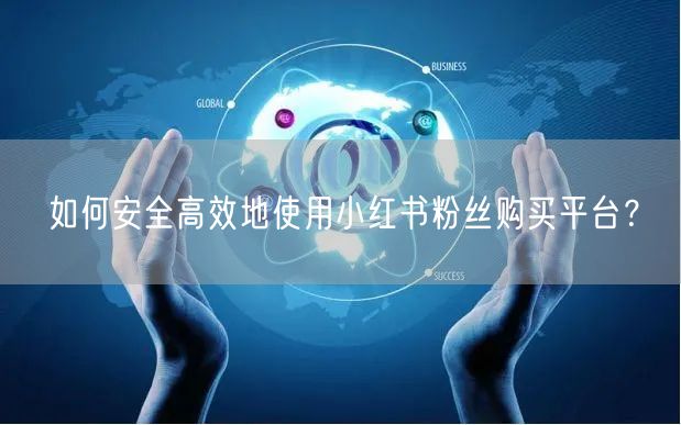 如何安全高效地使用小红书粉丝购买平台？
