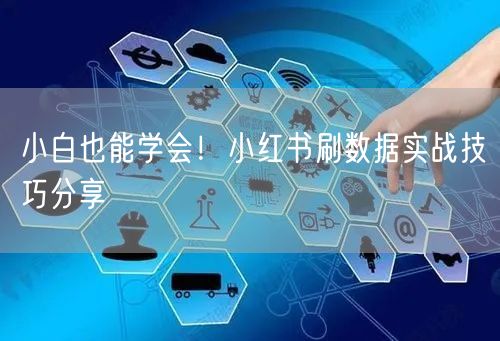 小白也能学会！小红书刷数据实战技巧分享