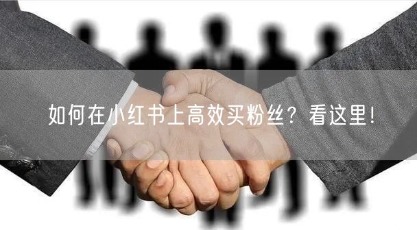 如何在小红书上高效买粉丝？看这里！