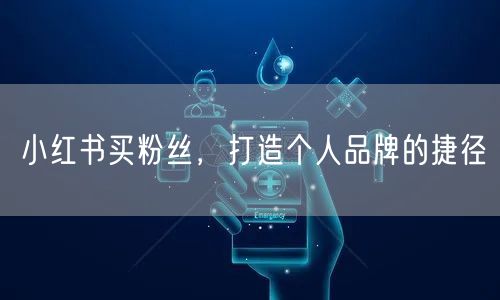 小红书买粉丝，打造个人品牌的捷径