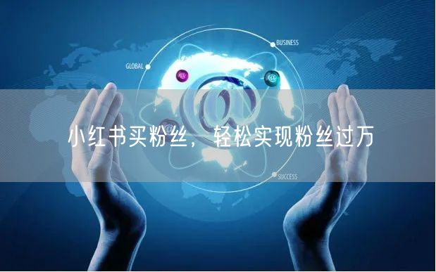 小红书买粉丝，轻松实现粉丝过万