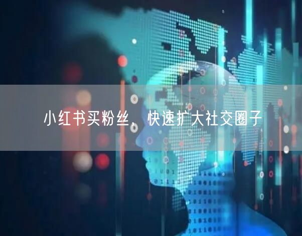 小红书买粉丝，快速扩大社交圈子