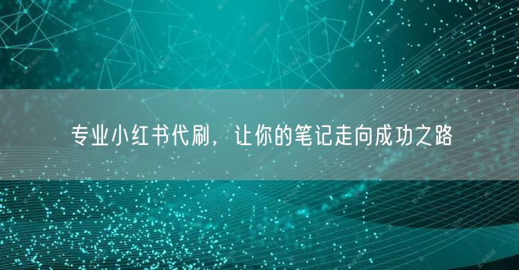专业小红书代刷，让你的笔记走向成功之路