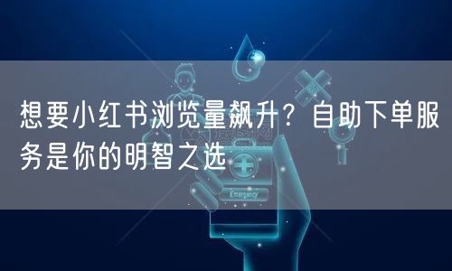 想要小红书浏览量飙升？自助下单服务是你的明智之选