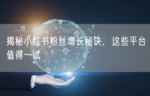 揭秘小红书粉丝增长秘诀，这些平台值得一试
