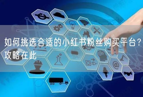 如何挑选合适的小红书粉丝购买平台？攻略在此