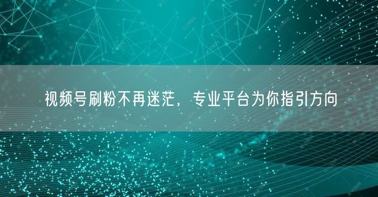 视频号刷粉不再迷茫，专业平台为你指引方向