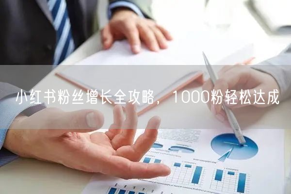 小红书粉丝增长全攻略，1000粉轻松达成