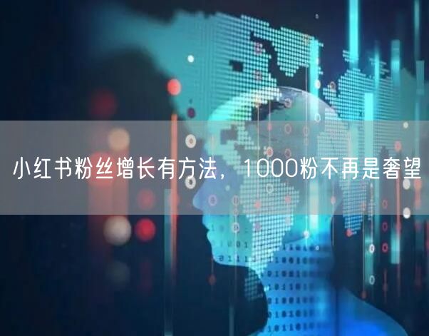 小红书粉丝增长有方法，1000粉不再是奢望