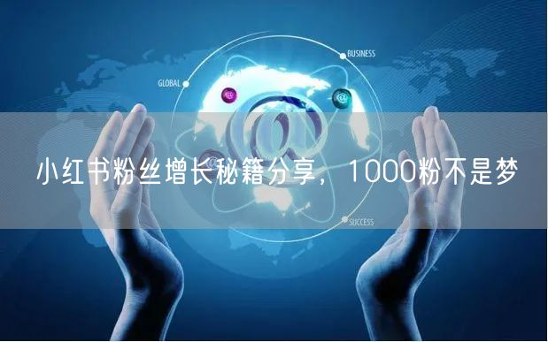 小红书粉丝增长秘籍分享，1000粉不是梦