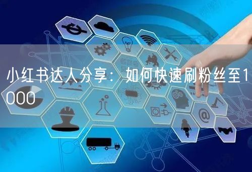 小红书达人分享：如何快速刷粉丝至1000