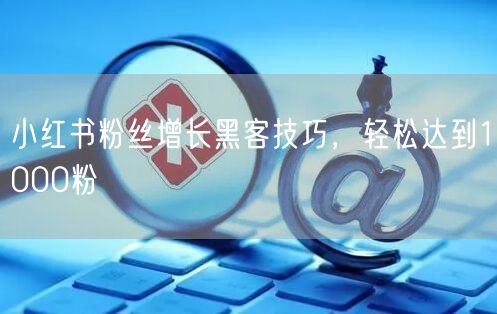 小红书粉丝增长黑客技巧，轻松达到1000粉