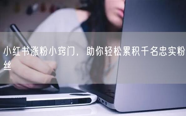 小红书涨粉小窍门，助你轻松累积千名忠实粉丝