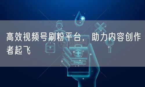 高效视频号刷粉平台，助力内容创作者起飞