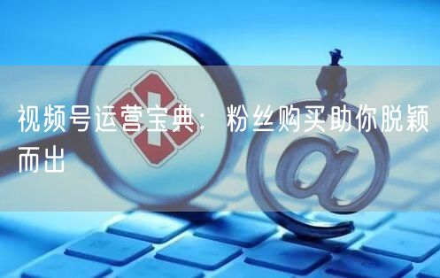 视频号运营宝典：粉丝购买助你脱颖而出