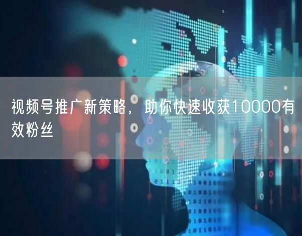 视频号推广新策略，助你快速收获10000有效粉丝