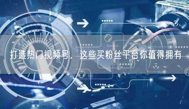 打造热门视频号，这些买粉丝平台你值得拥有