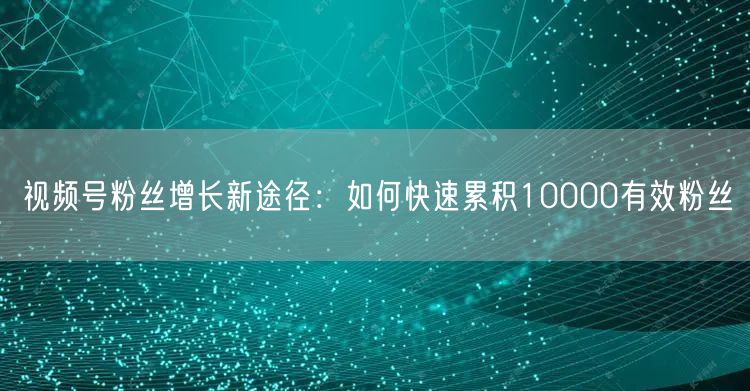 视频号粉丝增长新途径：如何快速累积10000有效粉丝