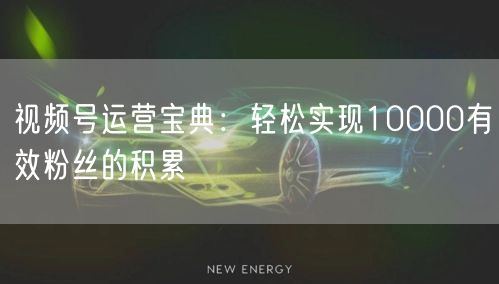 视频号运营宝典：轻松实现10000有效粉丝的积累