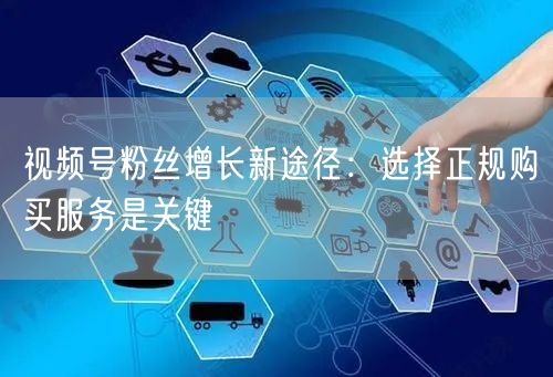 视频号粉丝增长新途径：选择正规购买服务是关键