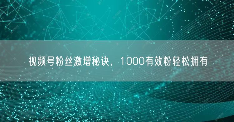 视频号粉丝激增秘诀，1000有效粉轻松拥有