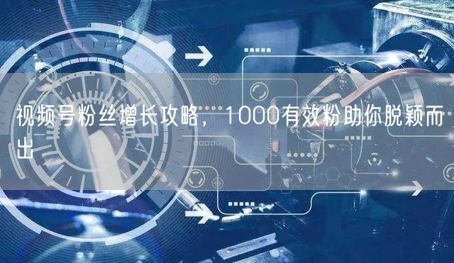 视频号粉丝增长攻略，1000有效粉助你脱颖而出