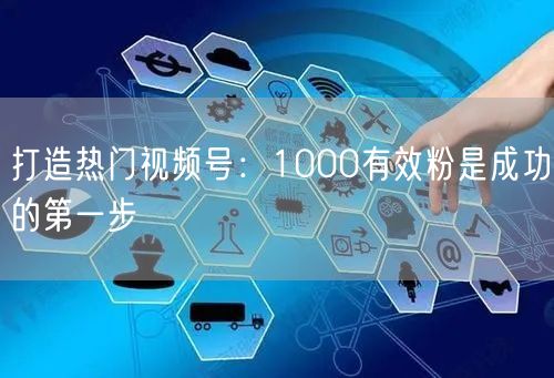 打造热门视频号：1000有效粉是成功的第一步