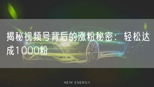 揭秘视频号背后的涨粉秘密：轻松达成1000粉