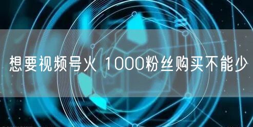 想要视频号火 1000粉丝购买不能少