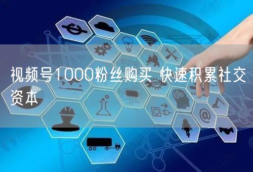 视频号1000粉丝购买 快速积累社交资本