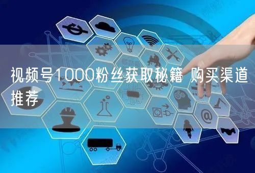 视频号1000粉丝获取秘籍 购买渠道推荐