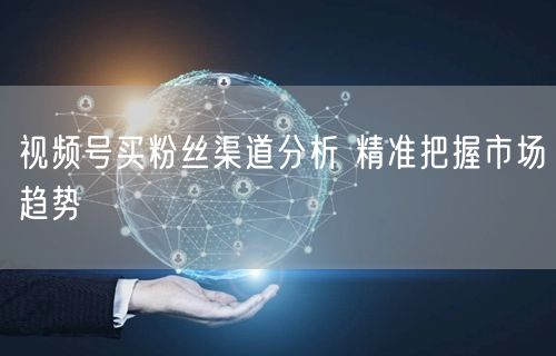 视频号买粉丝渠道分析 精准把握市场趋势