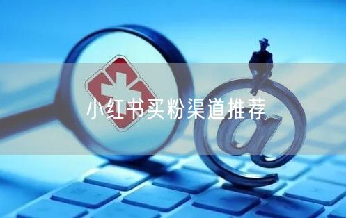 小红书买粉渠道推荐