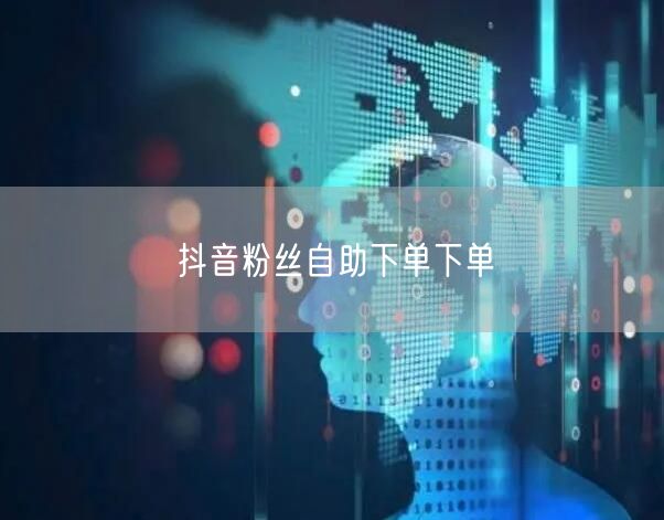 抖音粉丝自助下单下单