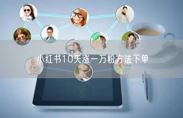 小红书10天涨一万粉方法下单