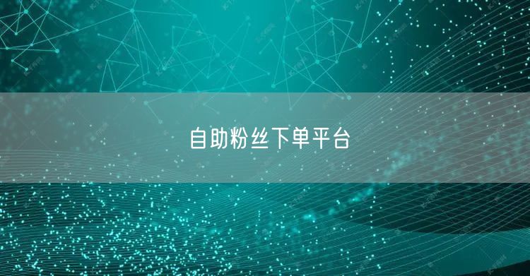 自助粉丝下单平台
