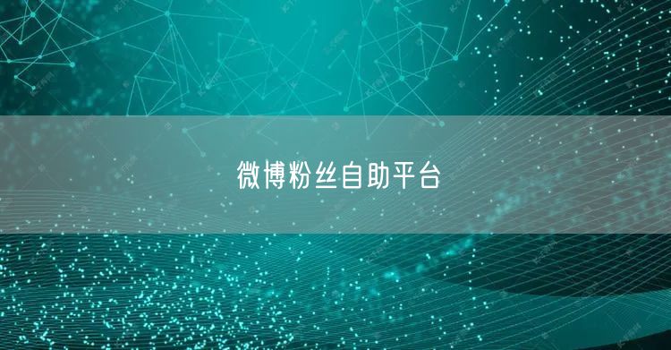 微博粉丝自助平台